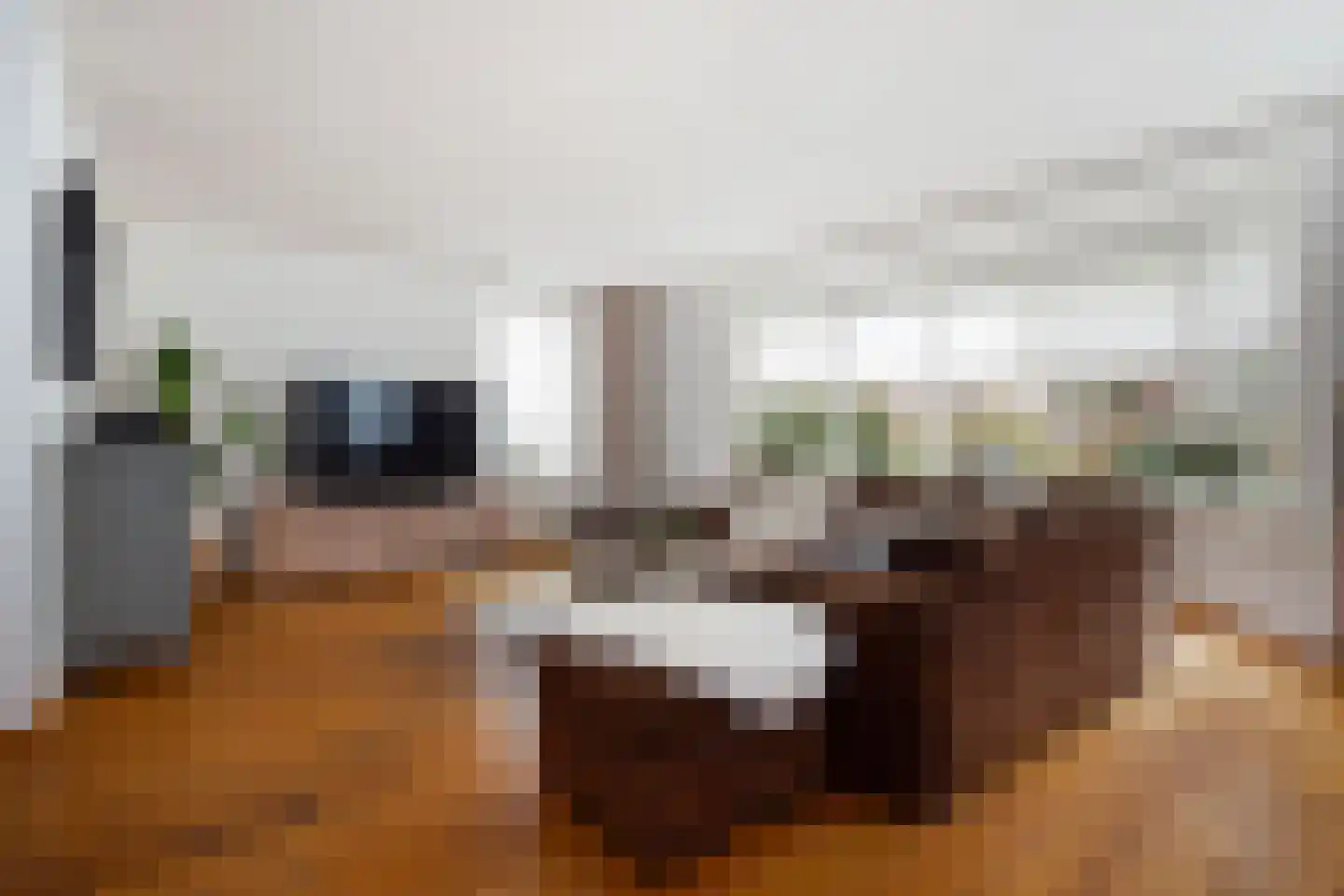 Roek 4 Sprang-Capelle thumbnail 11