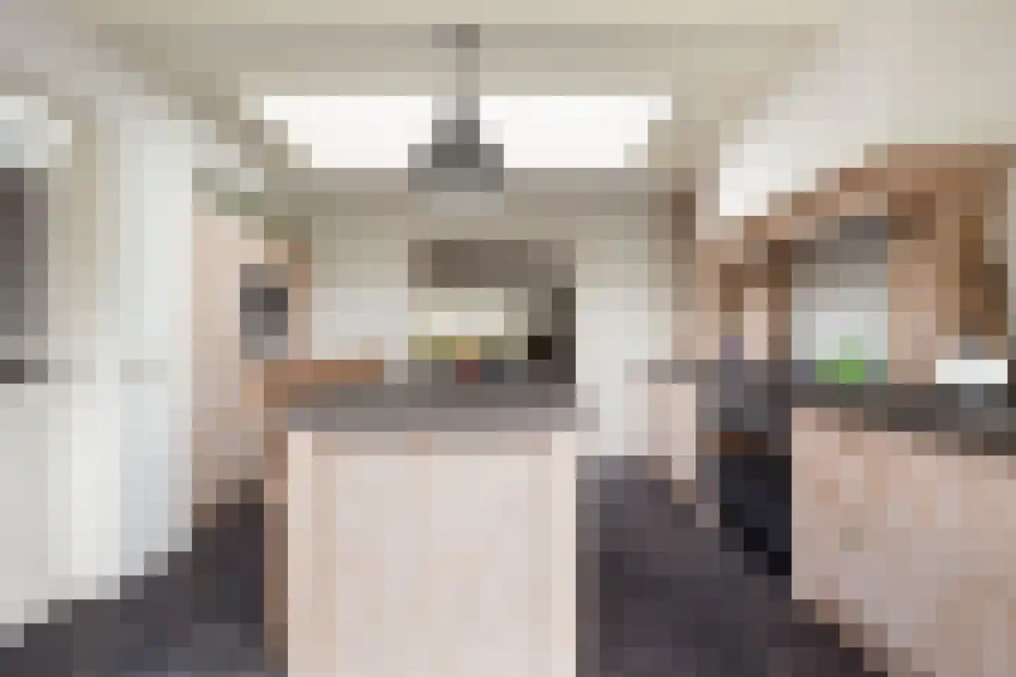 Roek 4 Sprang-Capelle thumbnail 20