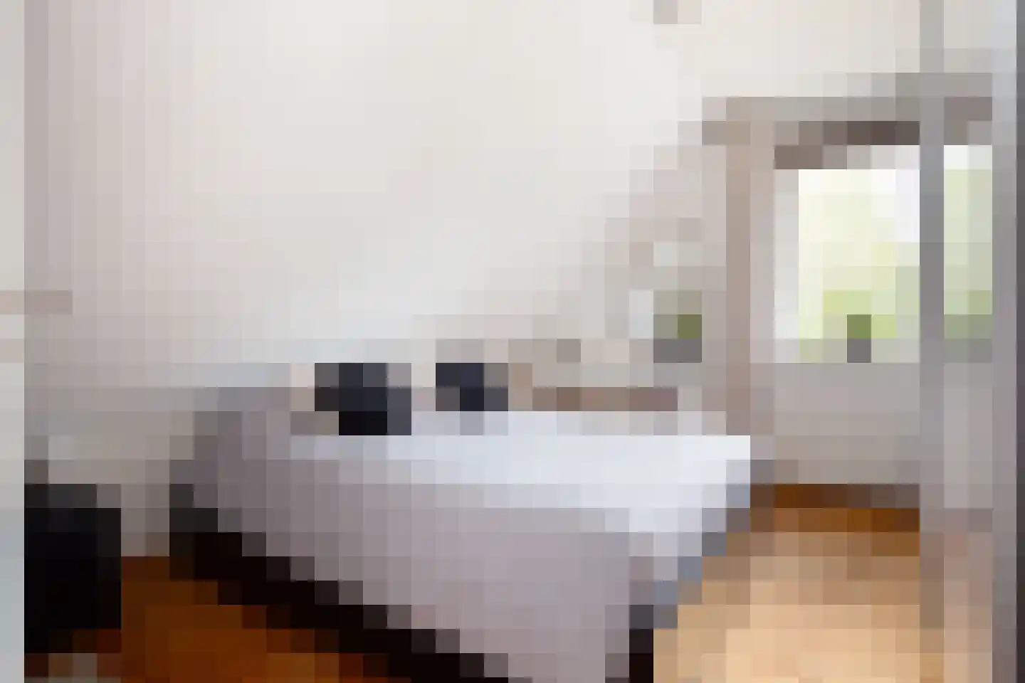 Roek 4 Sprang-Capelle thumbnail 35