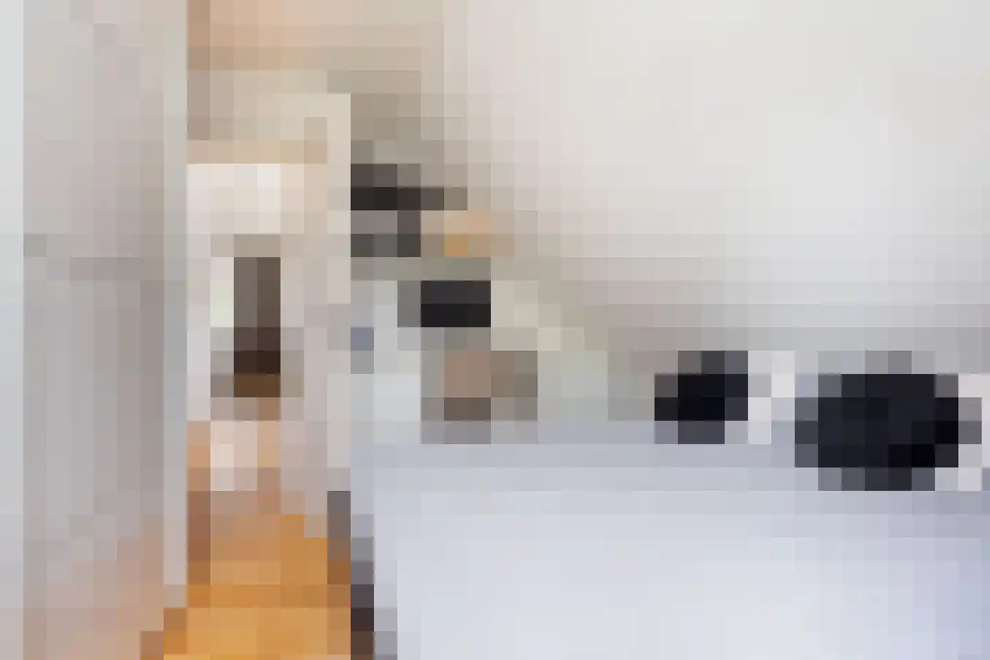 Roek 4 Sprang-Capelle thumbnail 36