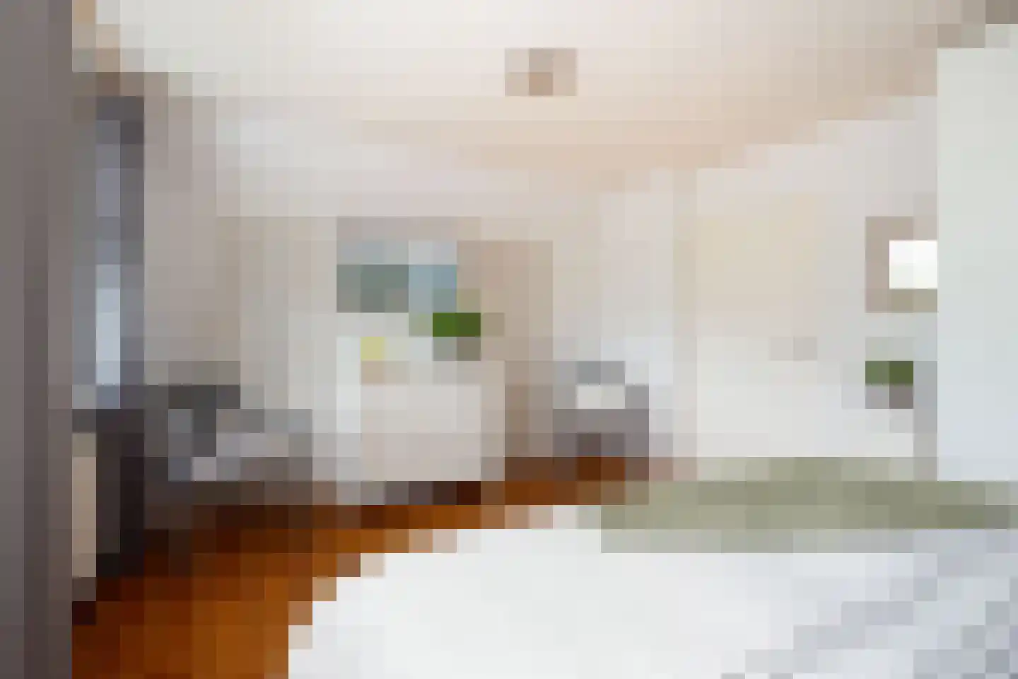 Roek 4 Sprang-Capelle thumbnail 40