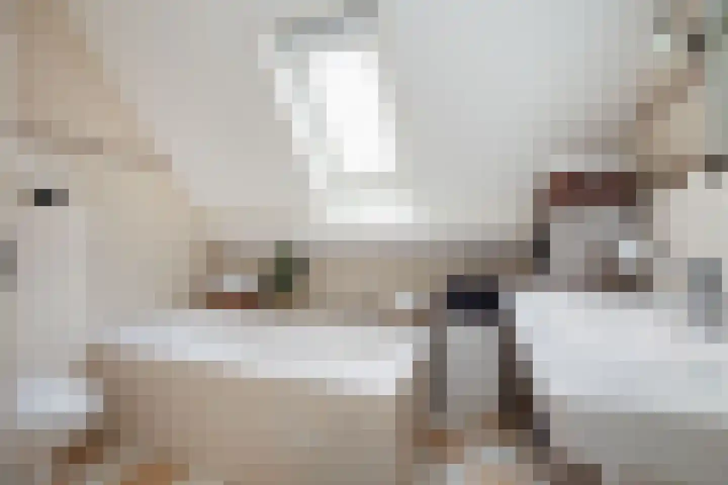 Roek 4 Sprang-Capelle thumbnail 42