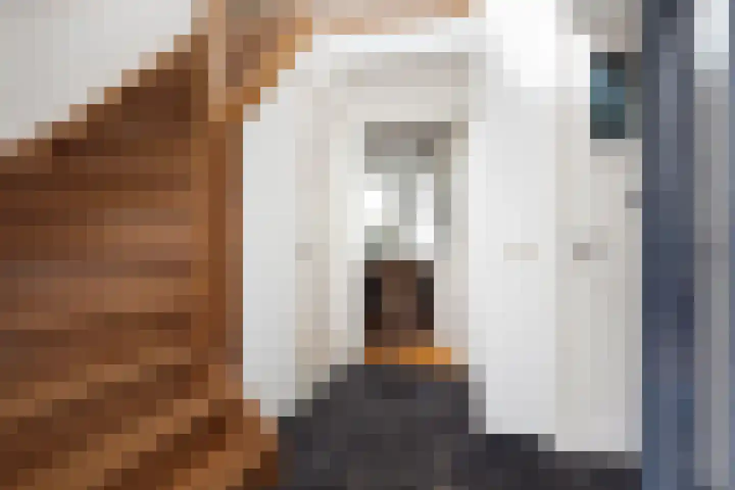 Roek 4 Sprang-Capelle thumbnail 7