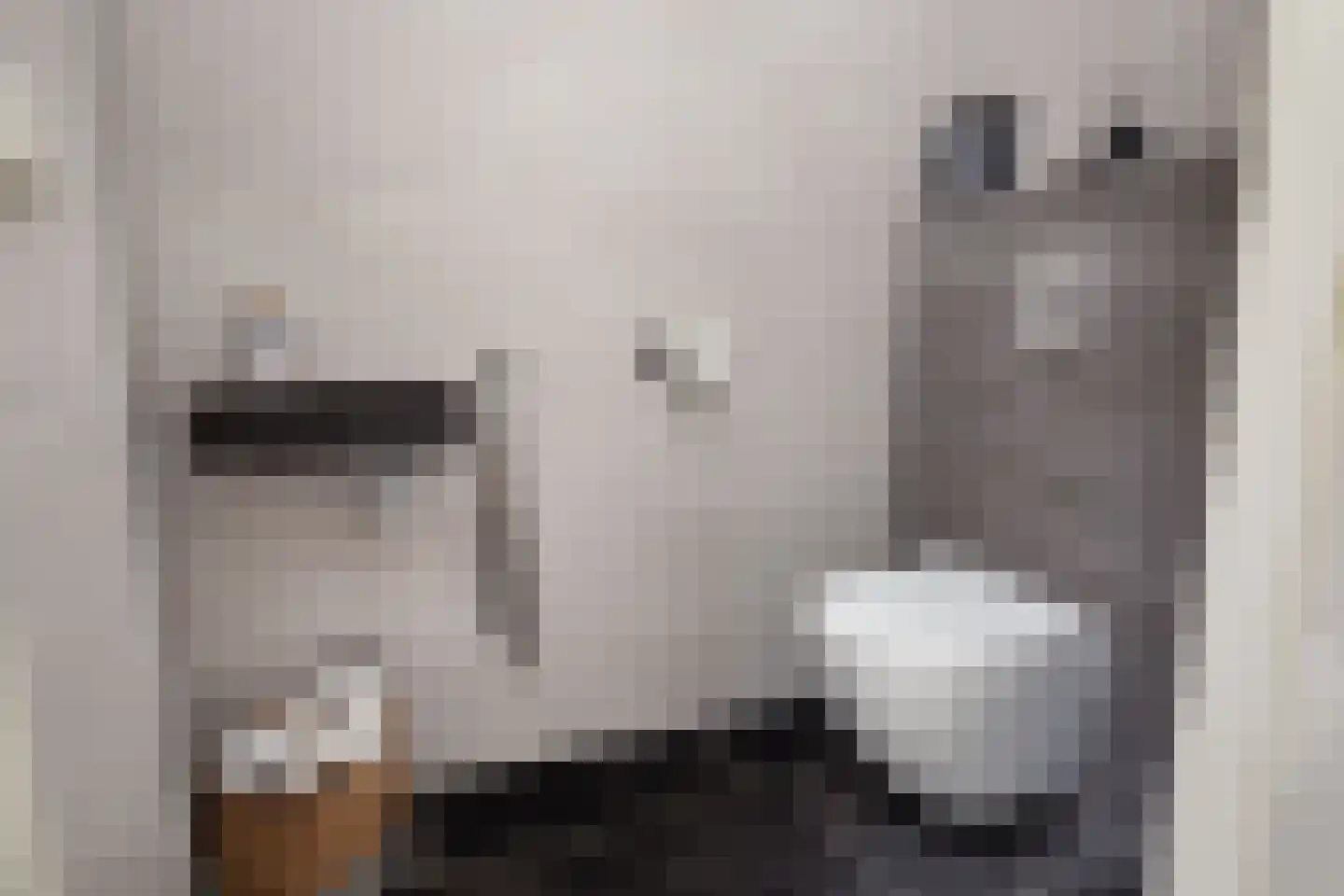 Roek 4 Sprang-Capelle thumbnail 9