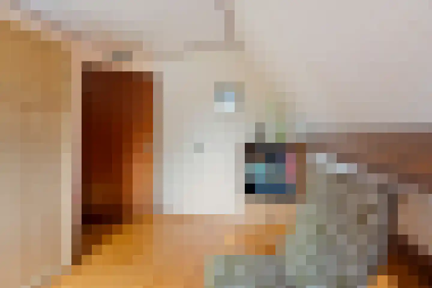 Roek 6 Zuid-Scharwoude thumbnail 28