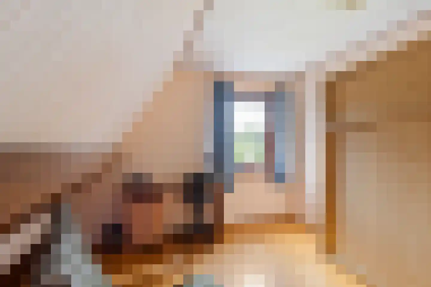 Roek 6 Zuid-Scharwoude thumbnail 30