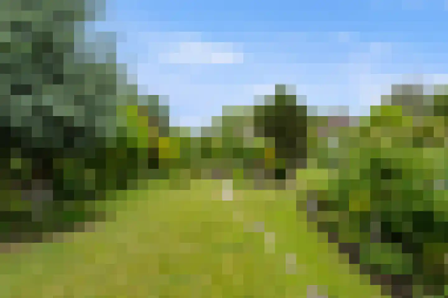 Roek 6 Zuid-Scharwoude thumbnail 36