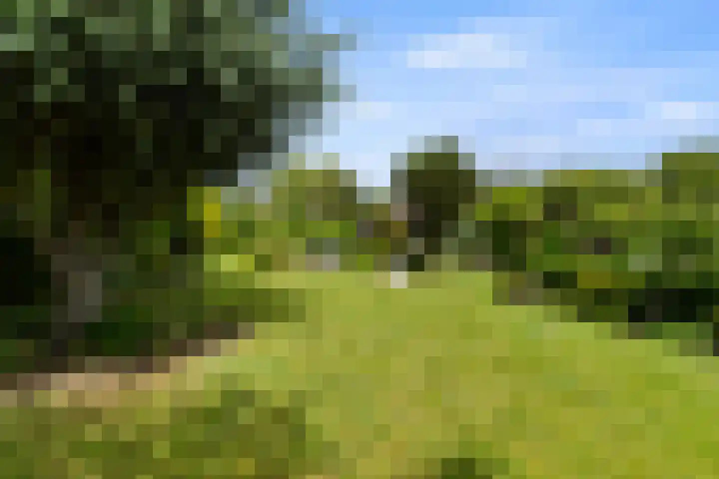 Roek 6 Zuid-Scharwoude thumbnail 37