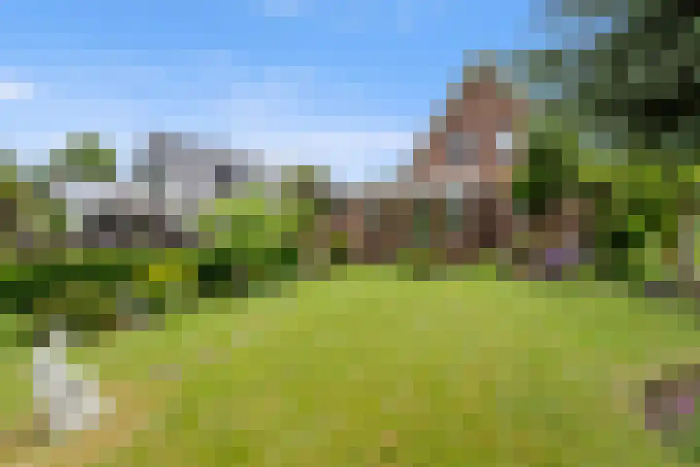 Roek 6 Zuid-Scharwoude thumbnail 38