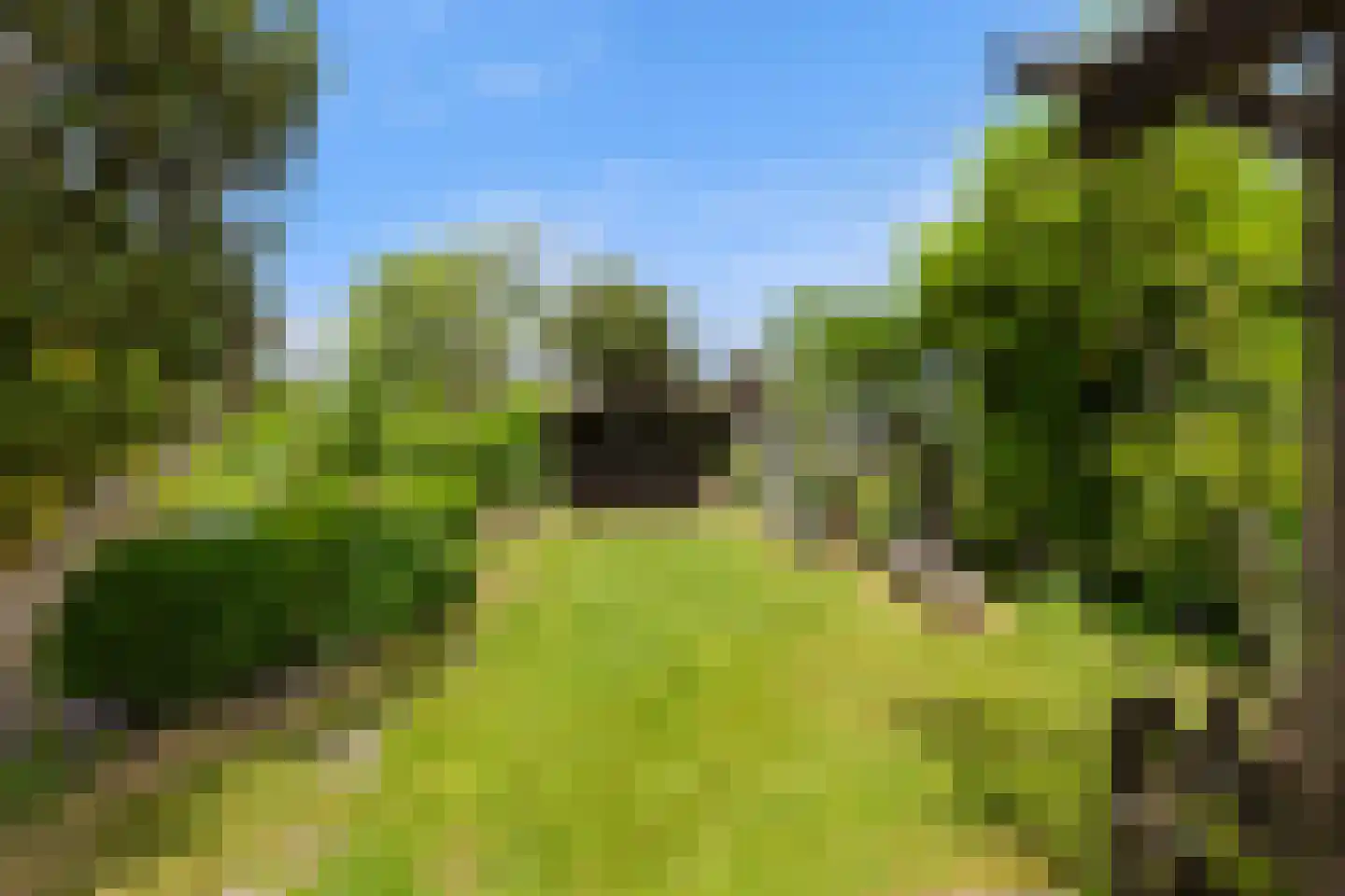 Roek 6 Zuid-Scharwoude thumbnail 39