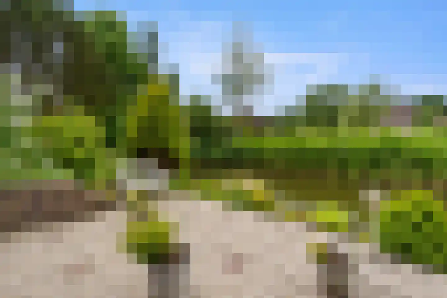Roek 6 Zuid-Scharwoude thumbnail 40