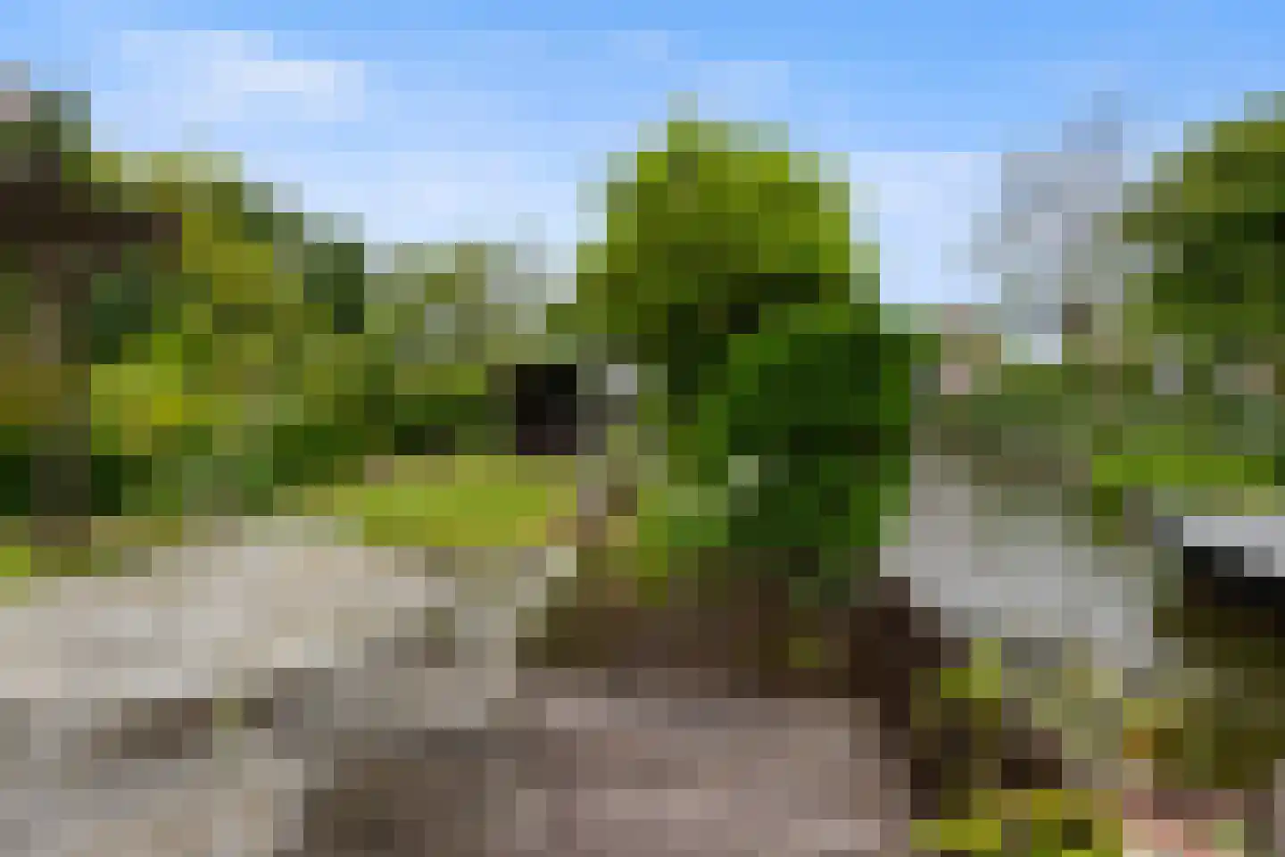 Roek 6 Zuid-Scharwoude thumbnail 41