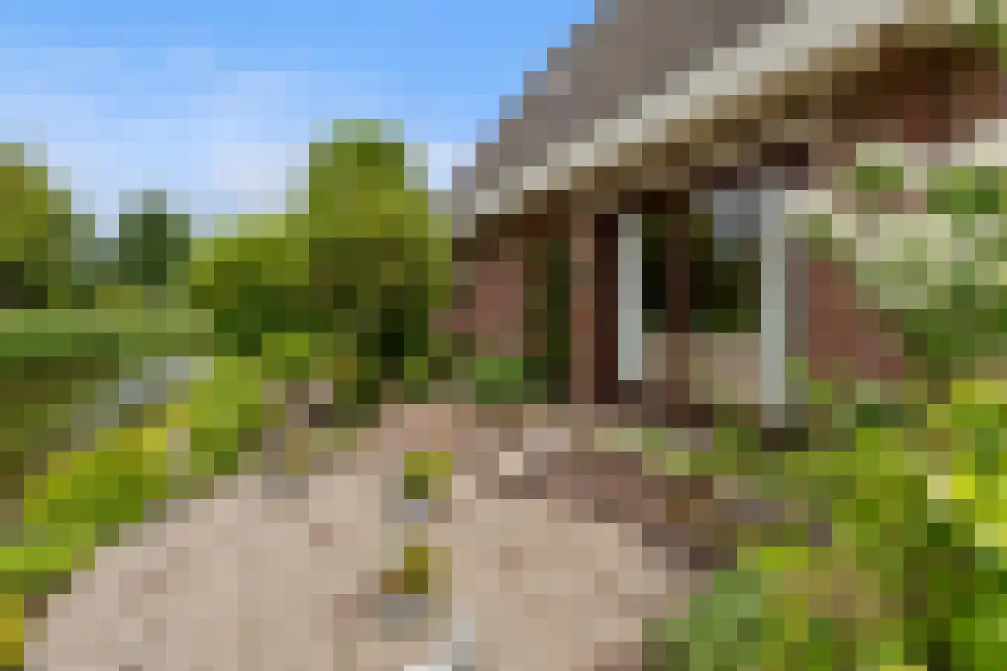 Roek 6 Zuid-Scharwoude thumbnail 42