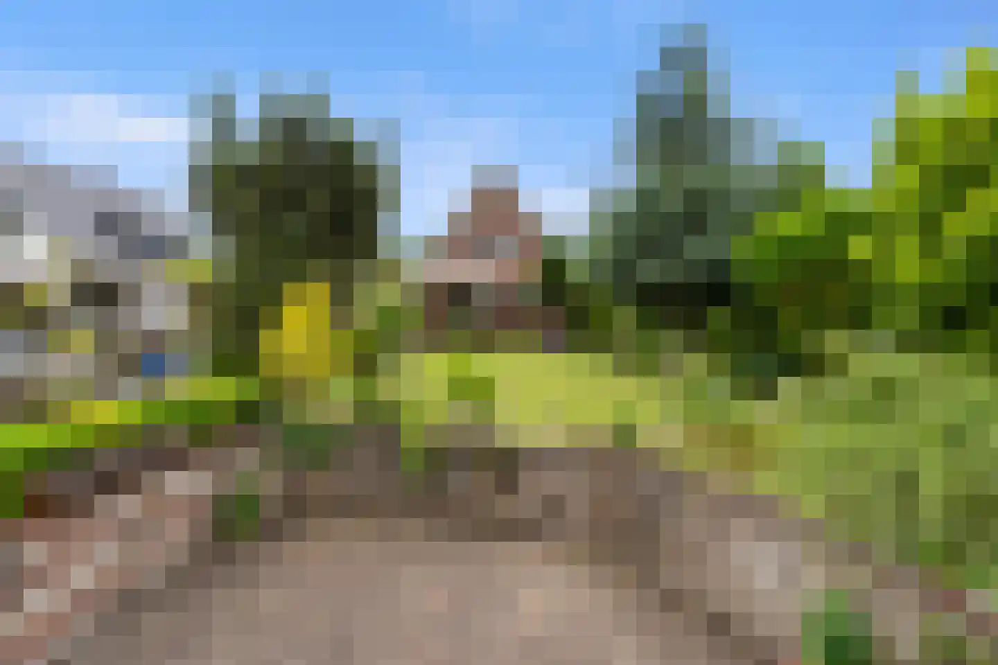 Roek 6 Zuid-Scharwoude thumbnail 43