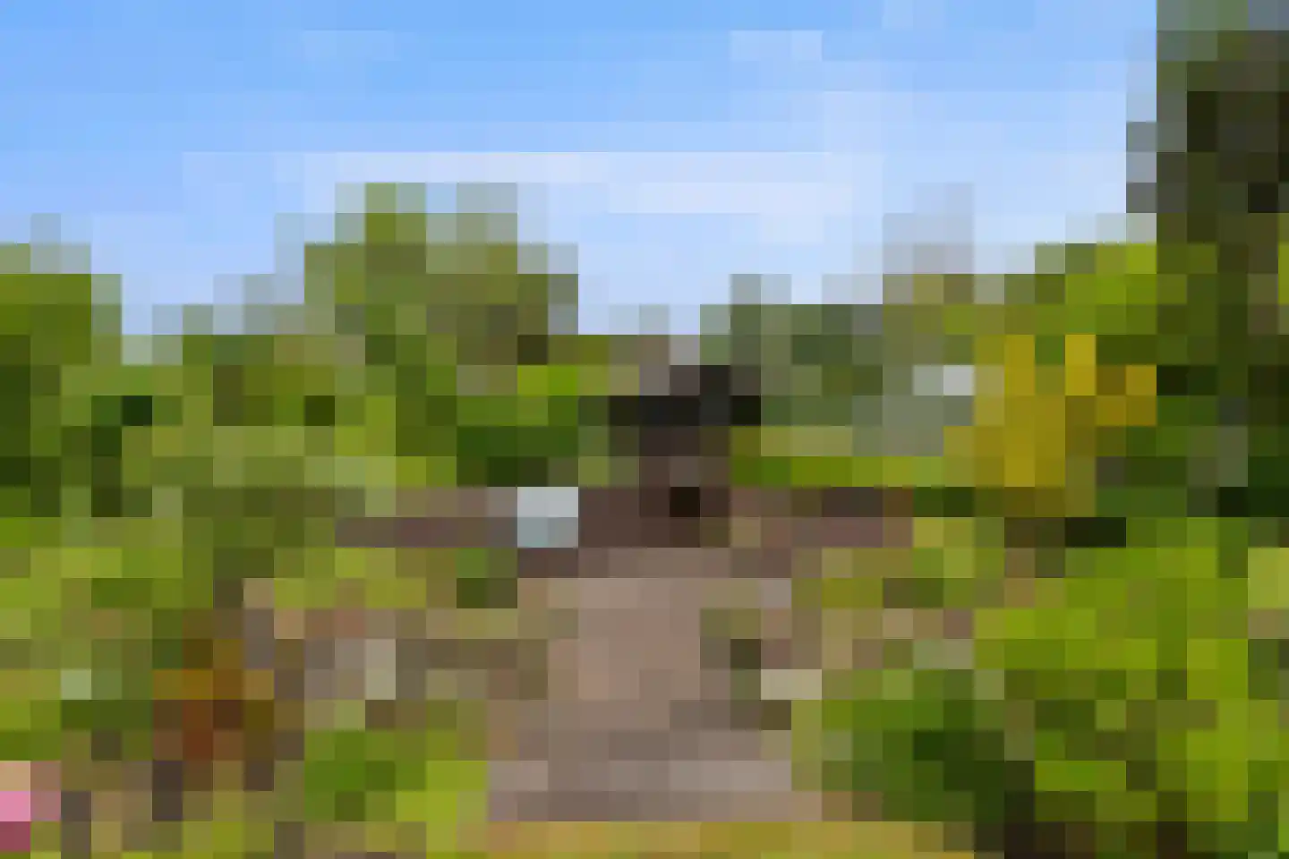 Roek 6 Zuid-Scharwoude thumbnail 45