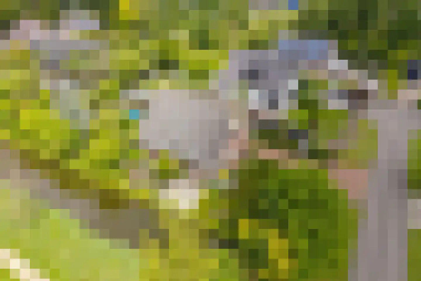 Roek 6 Zuid-Scharwoude thumbnail 46