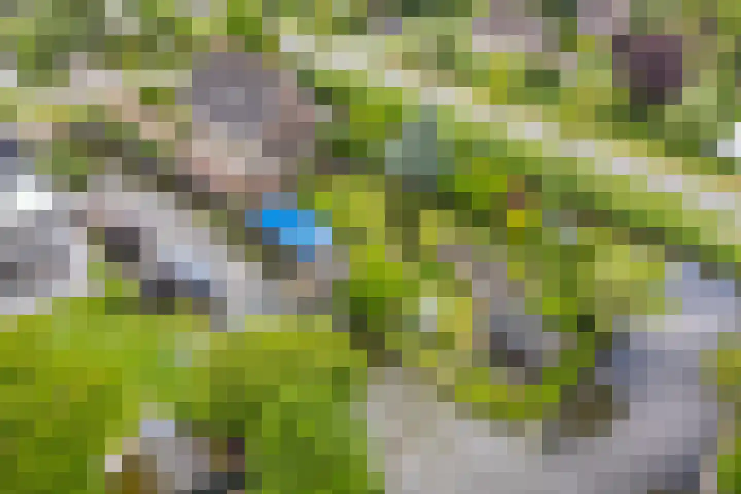 Roek 6 Zuid-Scharwoude thumbnail 47