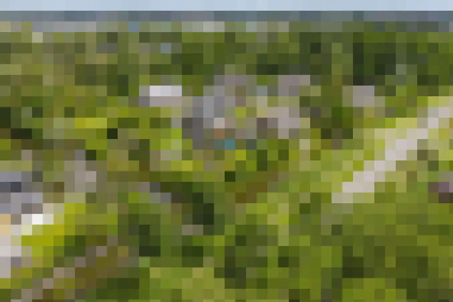Roek 6 Zuid-Scharwoude thumbnail 49