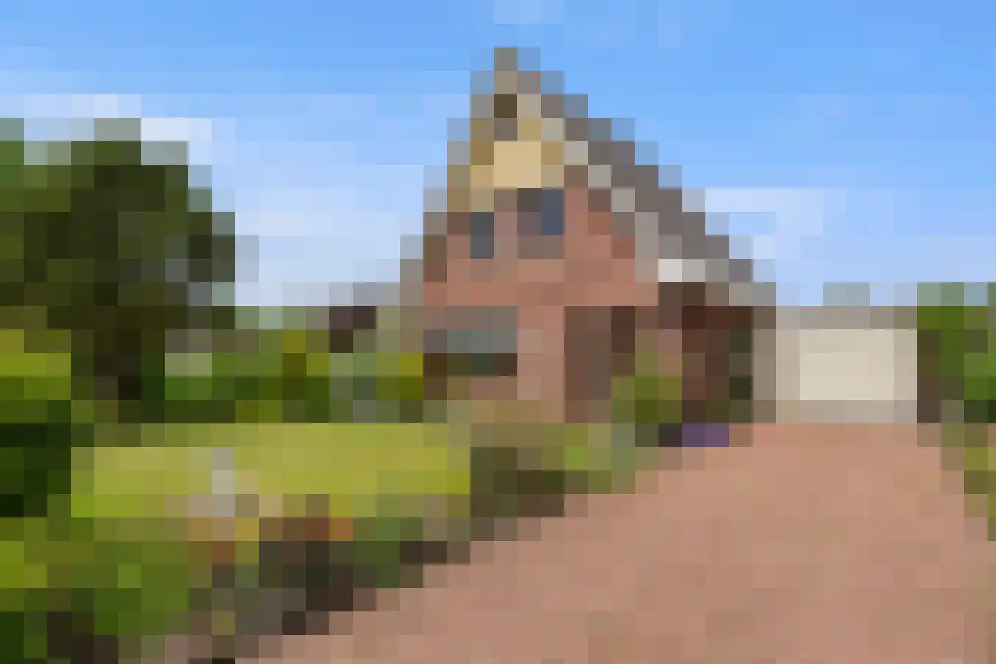 Roek 6 Zuid-Scharwoude thumbnail 50