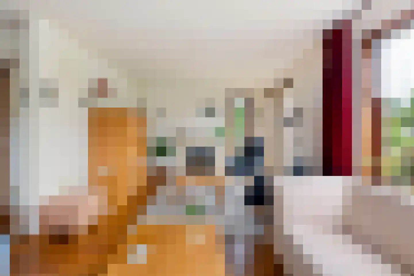 Roek 6 Zuid-Scharwoude thumbnail 7