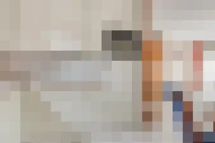 Roek 7 Hoogvliet Rotterdam thumbnail 11