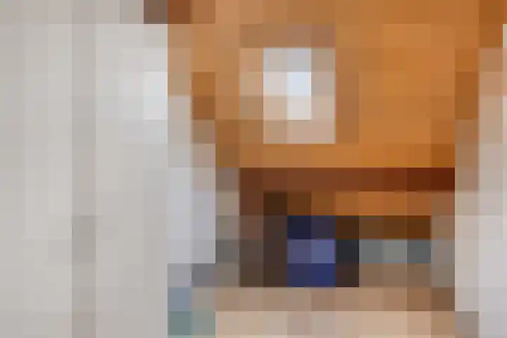 Roek 7 Hoogvliet Rotterdam thumbnail 25