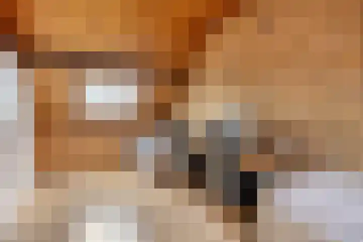 Roek 7 Hoogvliet Rotterdam thumbnail 26