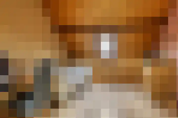 Roek 7 Hoogvliet Rotterdam thumbnail 27