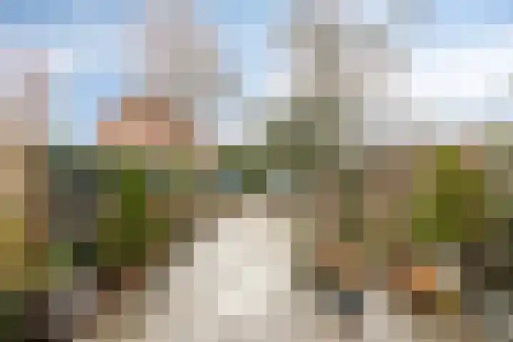 Roek 7 Hoogvliet Rotterdam thumbnail 28