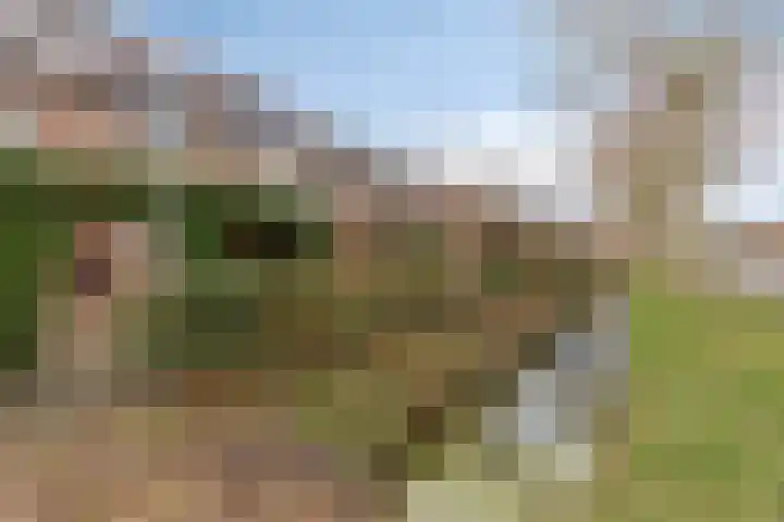 Roek 7 Hoogvliet Rotterdam thumbnail 31