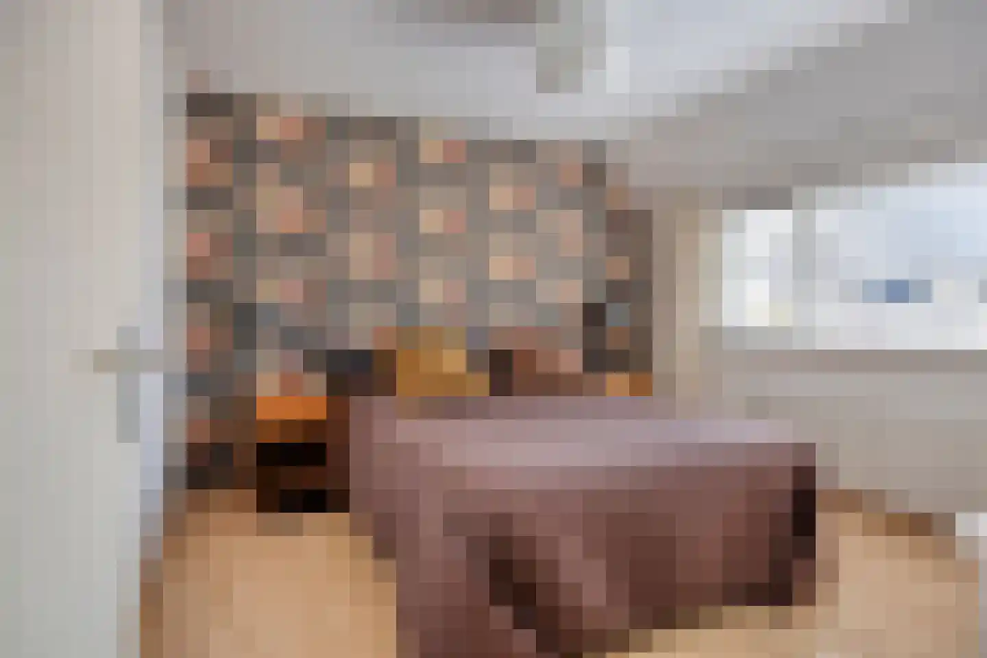 Roek 8 Veldhoven thumbnail 13