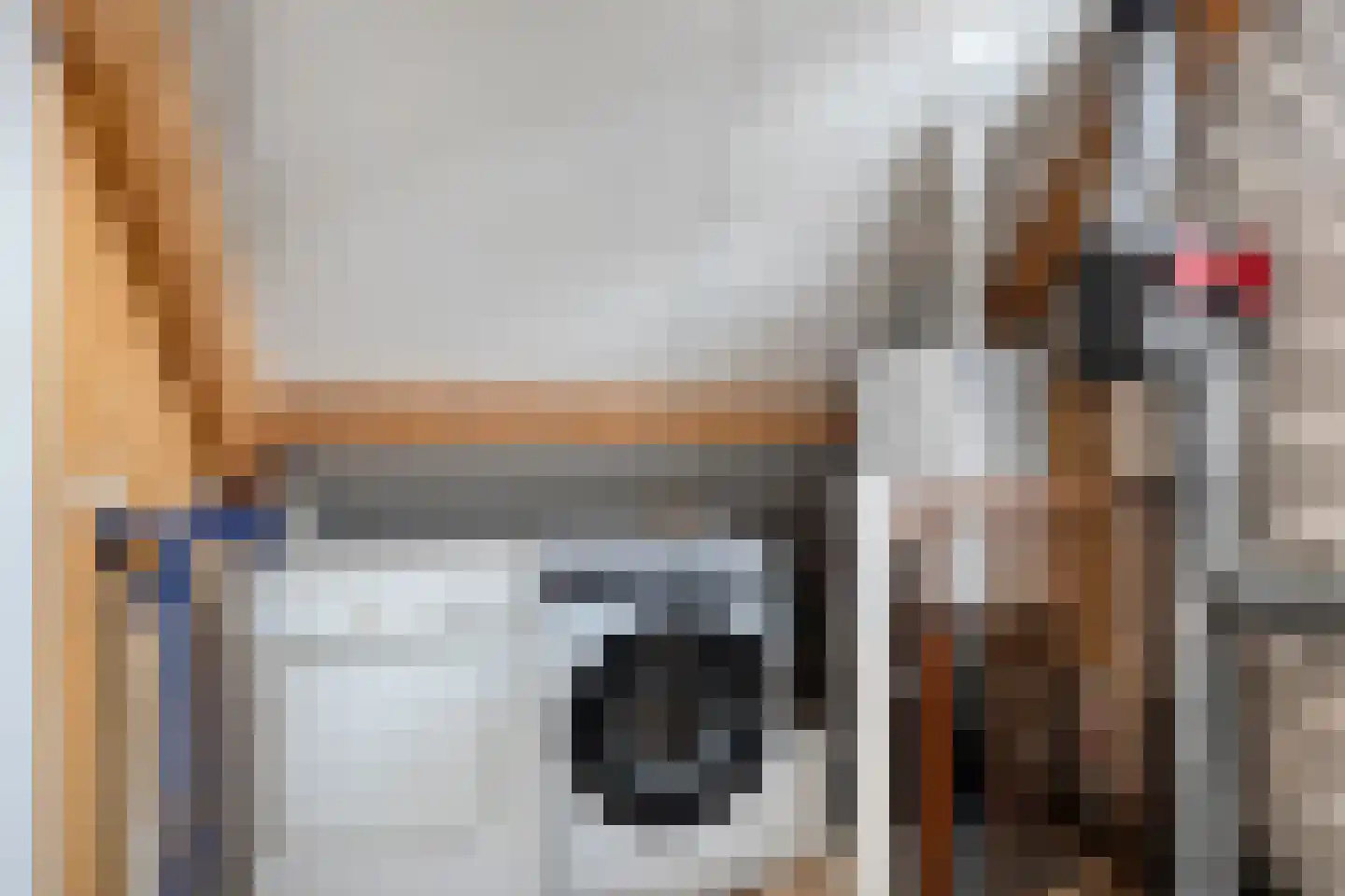 Roek 8 Veldhoven thumbnail 20