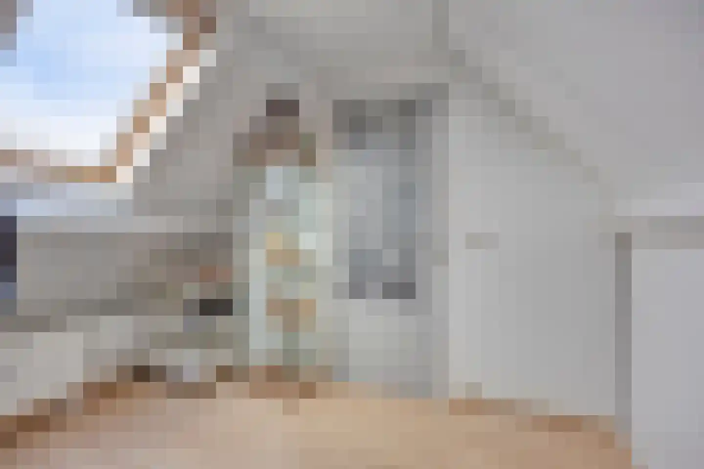 Roek 8 Veldhoven thumbnail 23