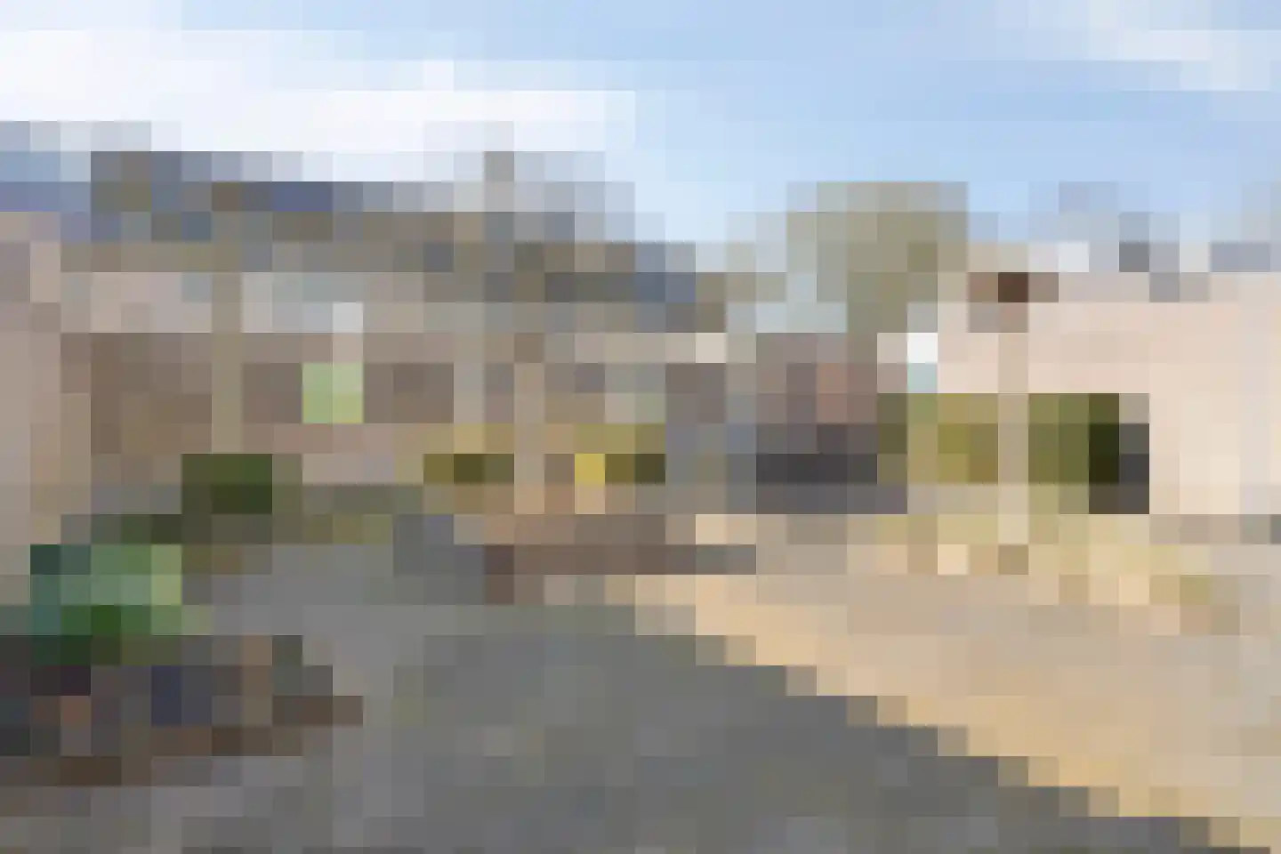 Roek 8 Veldhoven thumbnail 24