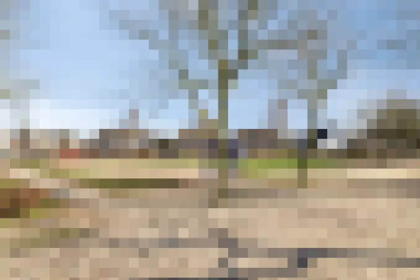 Roek 8 Veldhoven thumbnail 31