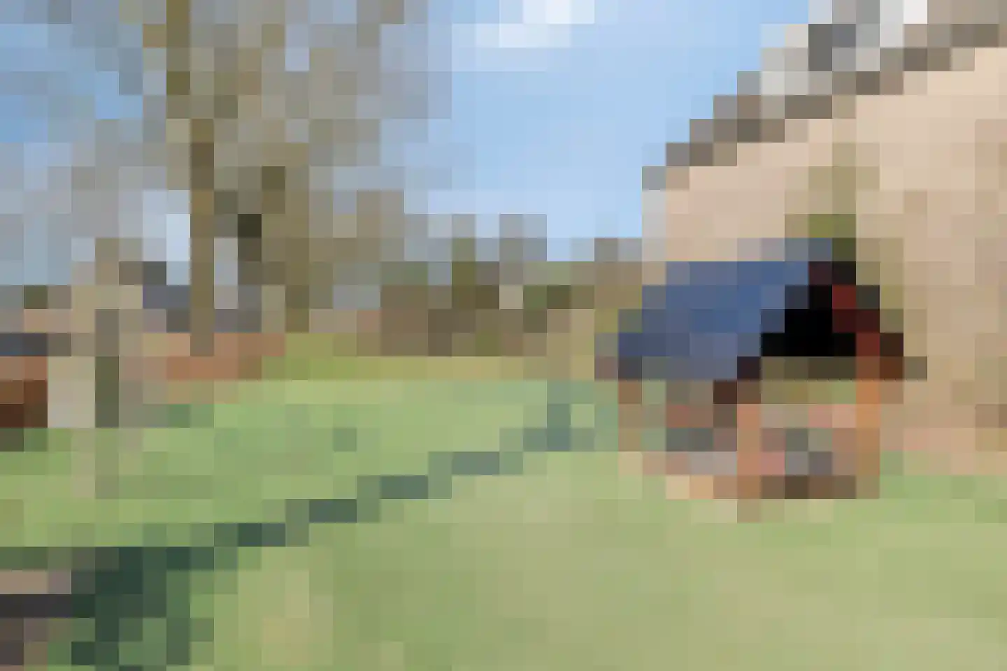 Roek 8 Veldhoven thumbnail 32