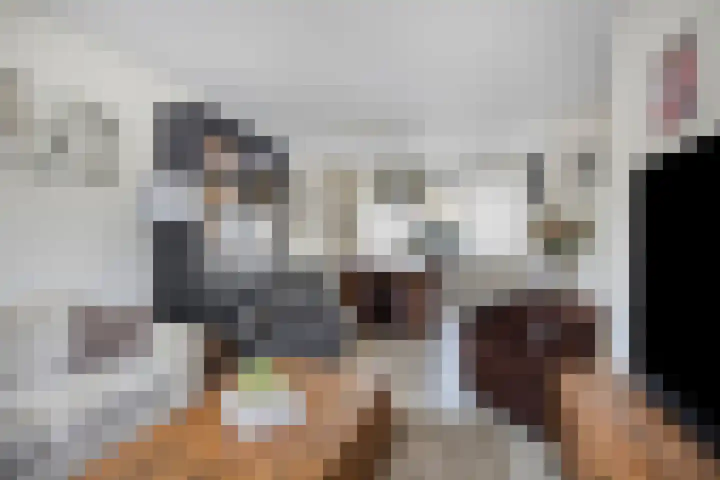 Roek 8 Veldhoven thumbnail 7