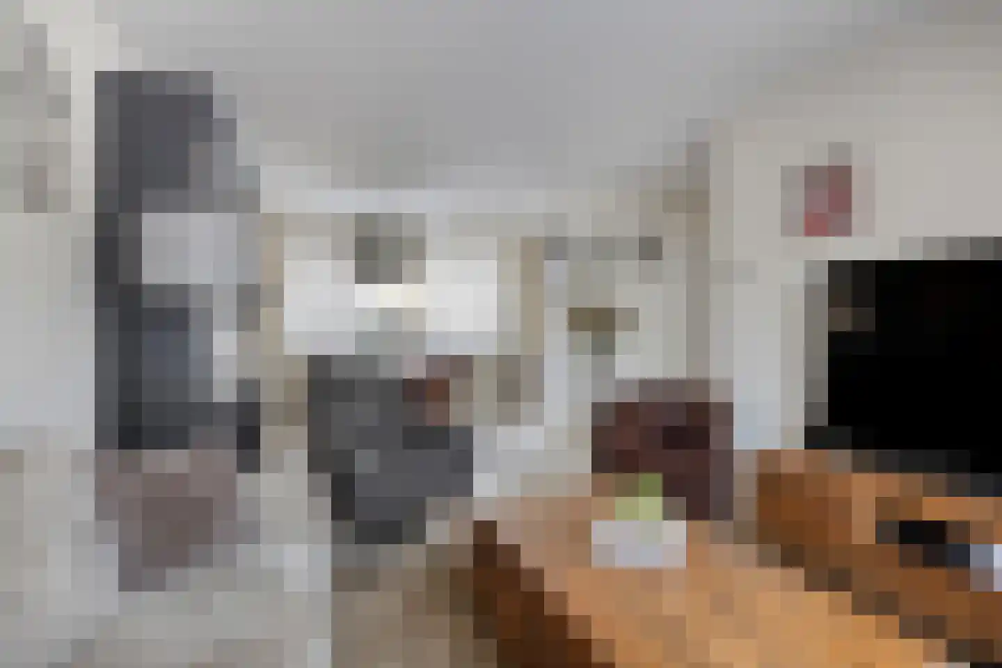 Roek 8 Veldhoven thumbnail 8