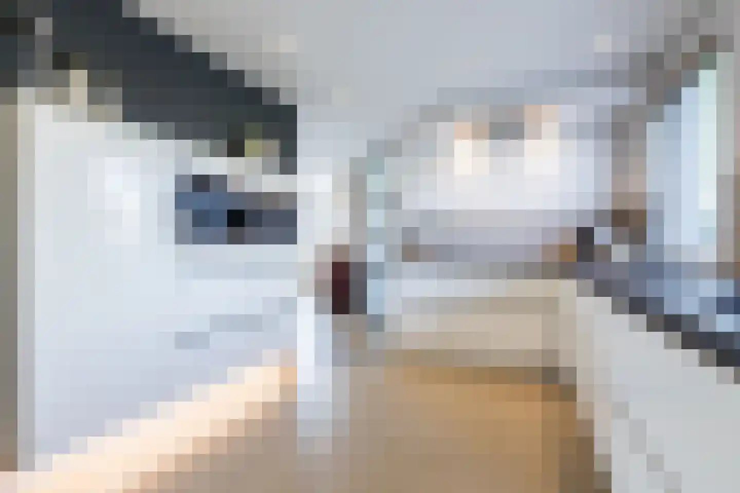 Roekdonk 12 Veghel thumbnail 22