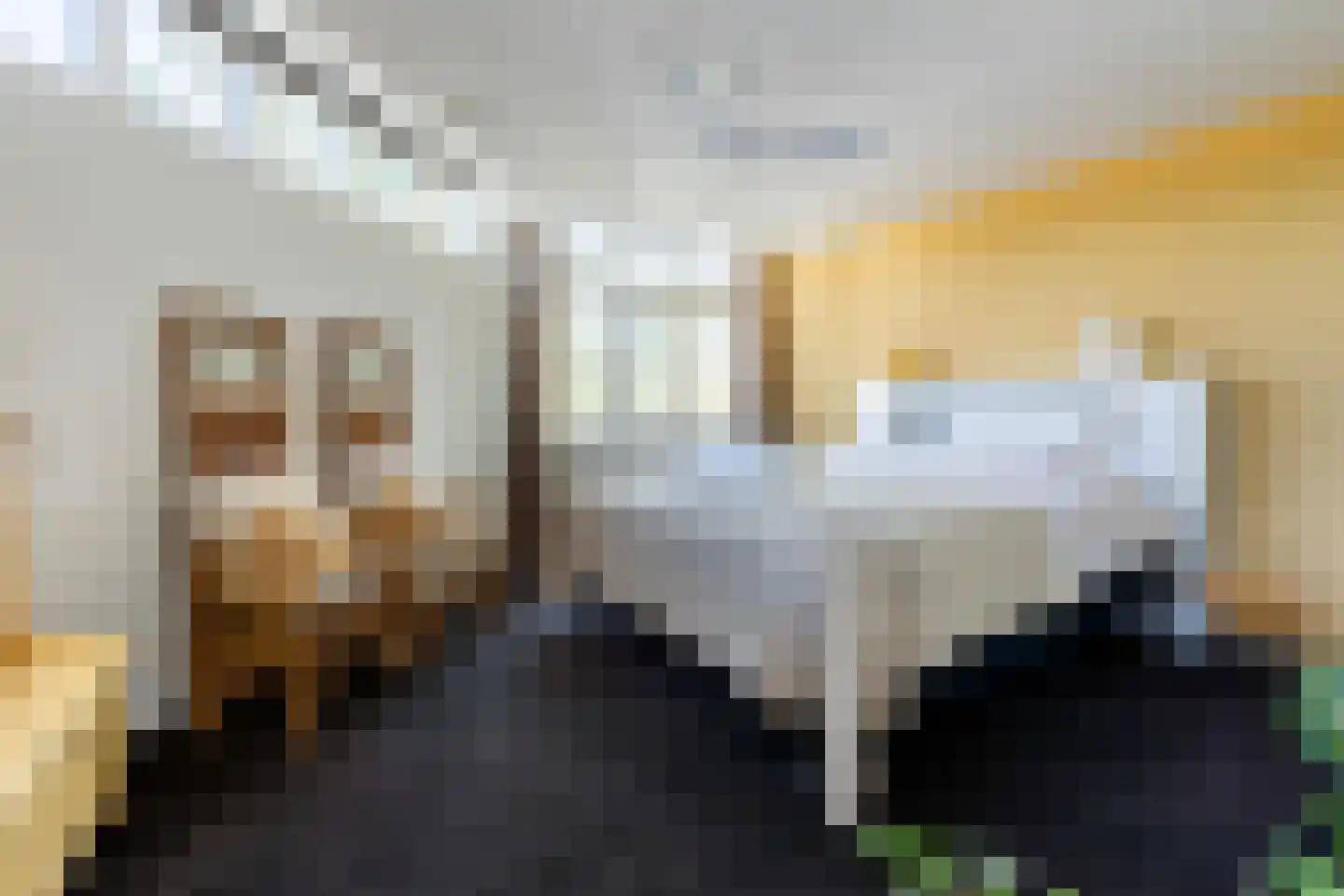 Roekdonk 12 Veghel thumbnail 28