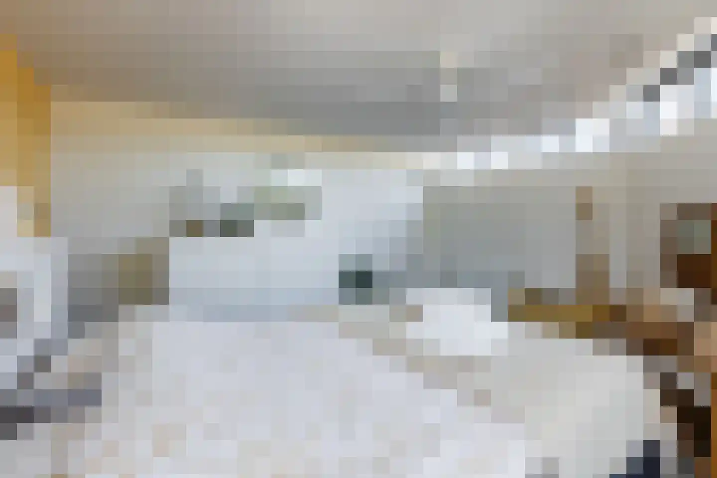 Roekdonk 12 Veghel thumbnail 29