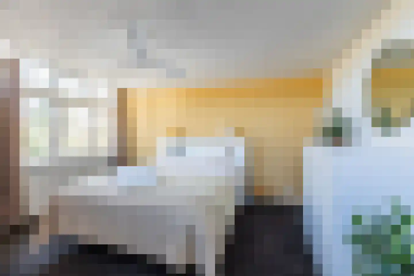 Roekdonk 12 Veghel thumbnail 31