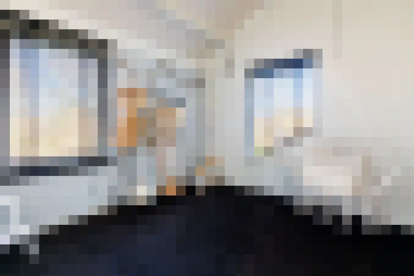 Roekdonk 12 Veghel thumbnail 35