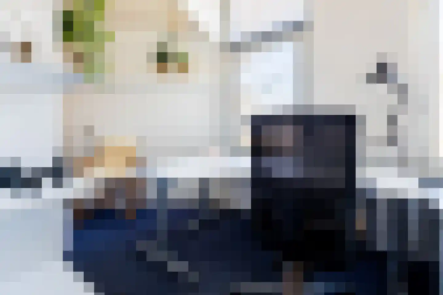 Roekdonk 12 Veghel thumbnail 38
