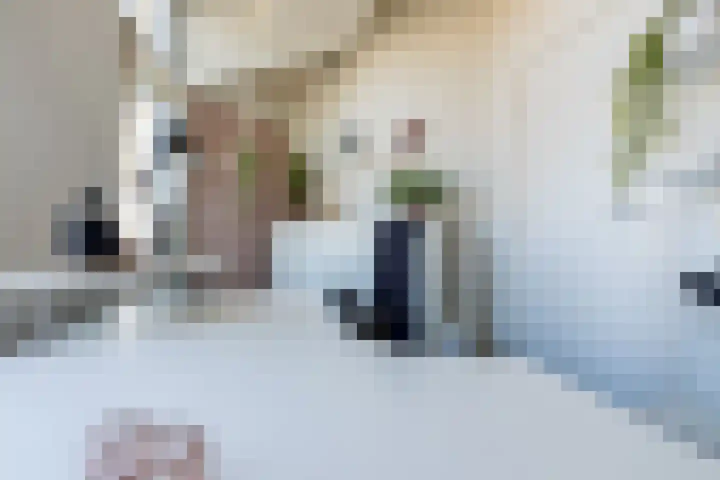 Roekdonk 12 Veghel thumbnail 39