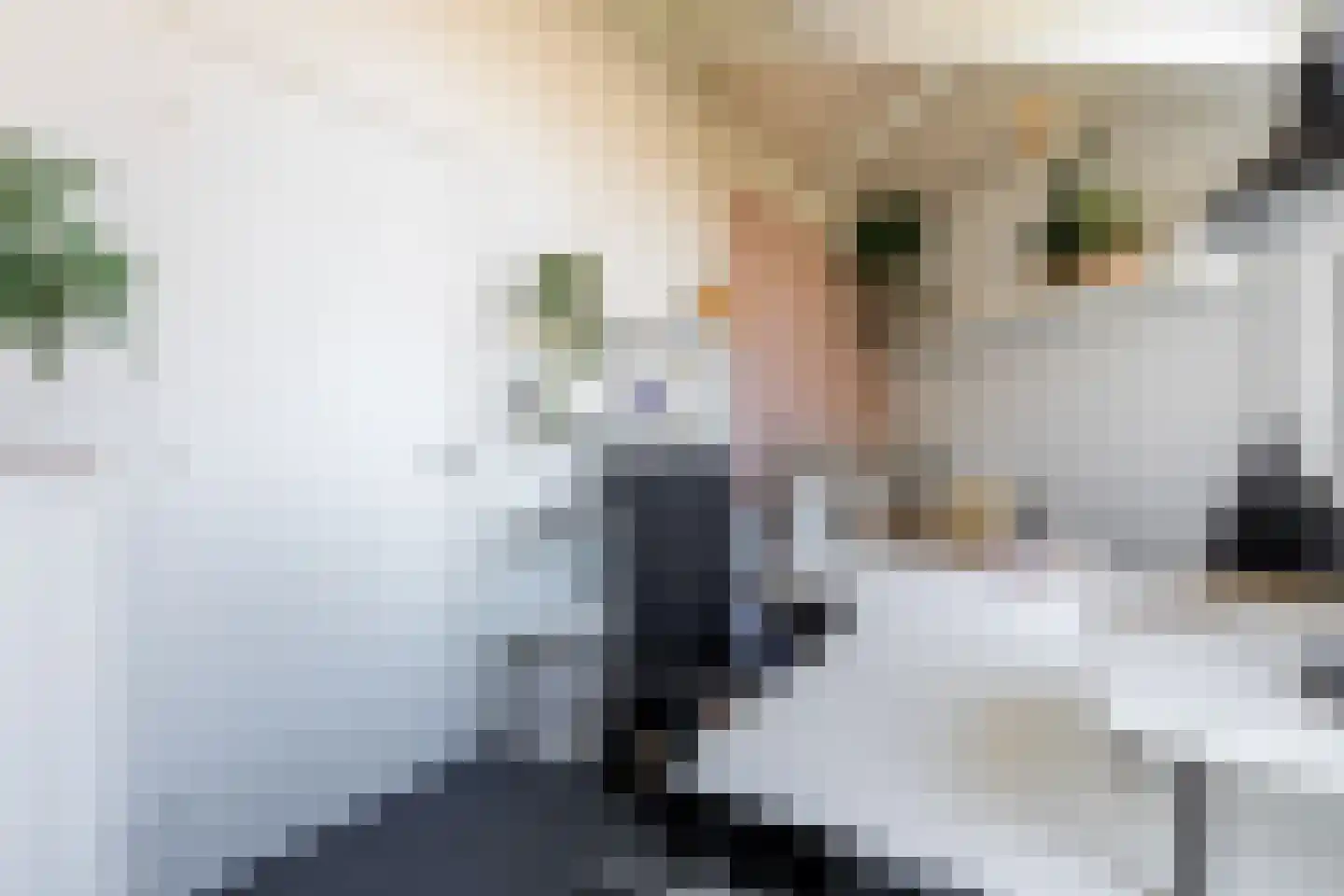 Roekdonk 12 Veghel thumbnail 40