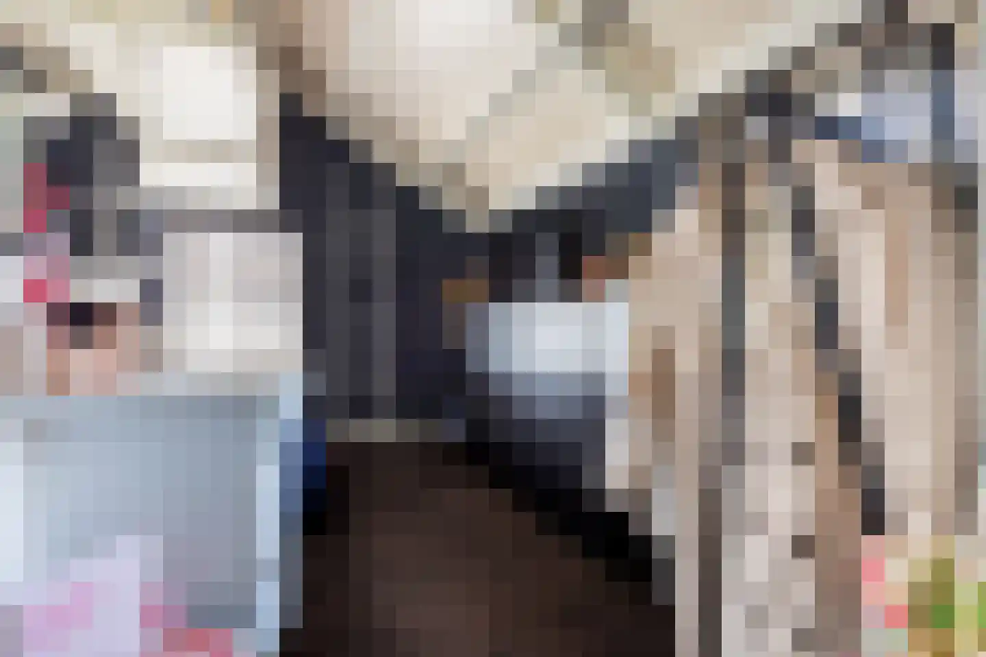 Roekdonk 12 Veghel thumbnail 41