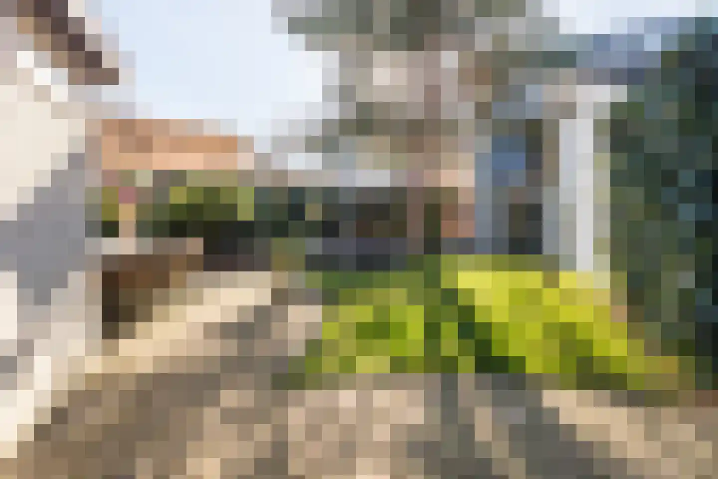 Roekdonk 12 Veghel thumbnail 47