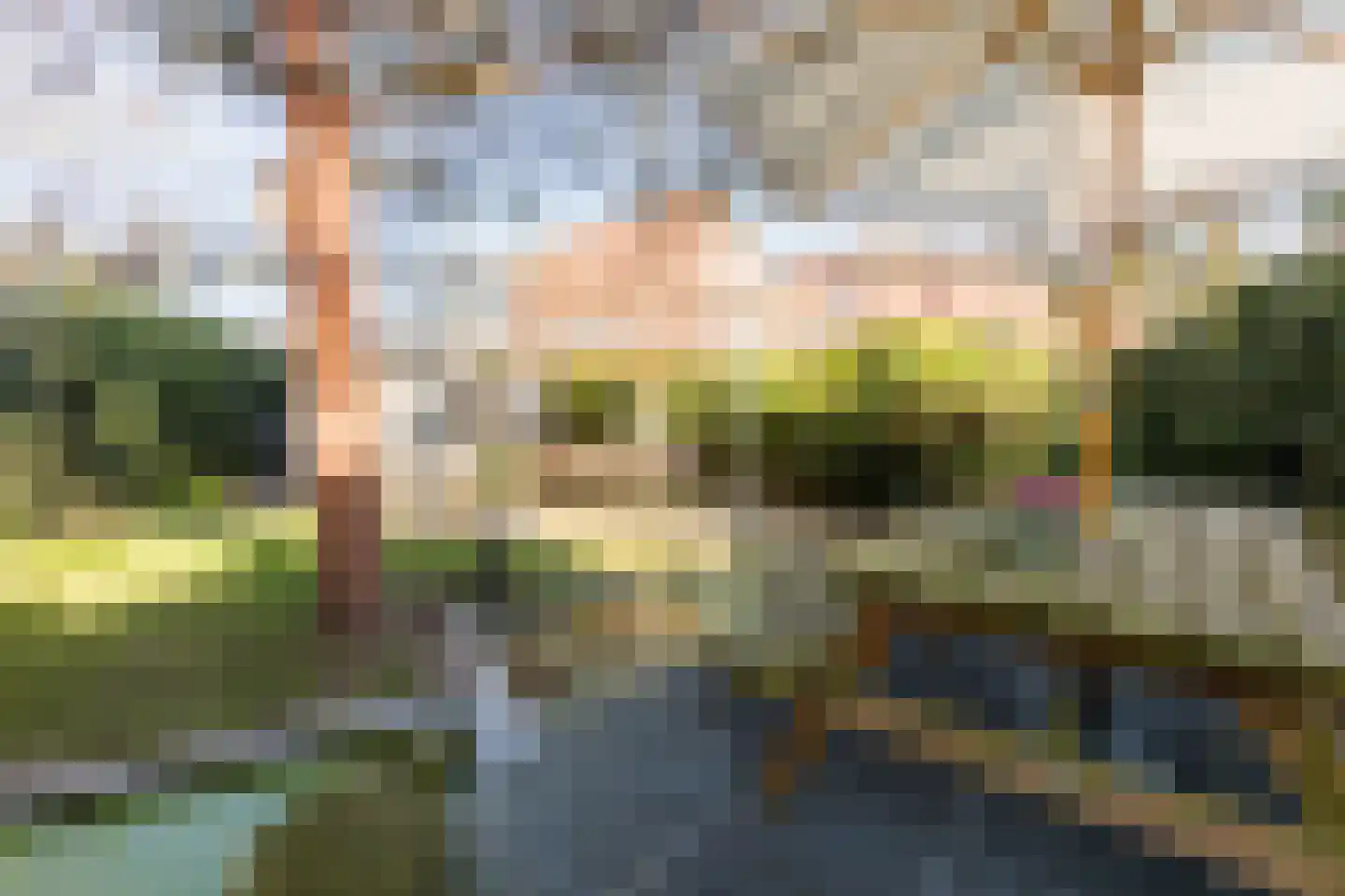 Roekdonk 12 Veghel thumbnail 51