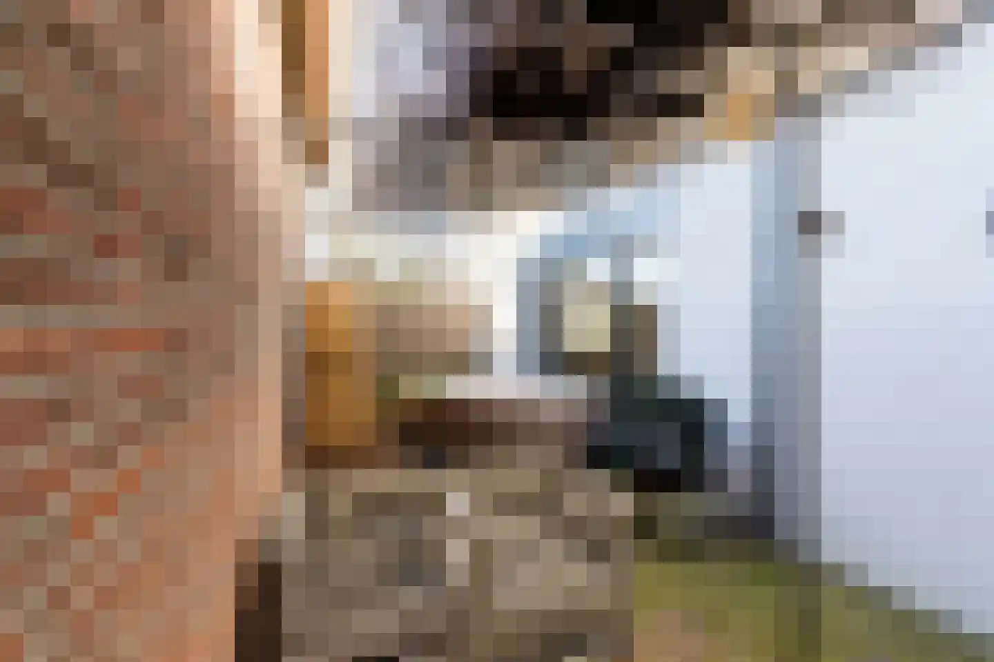 Roekdonk 12 Veghel thumbnail 54